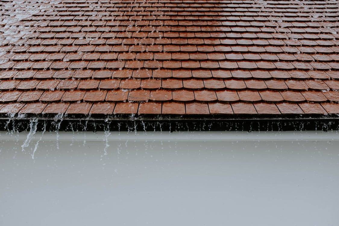 Eco-Friendly Solutions You Should Consider for Your Roof