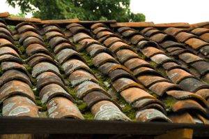 Decomposing Materials - Roof Decomposing Materials - Roof