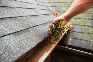 Clogged Gutters