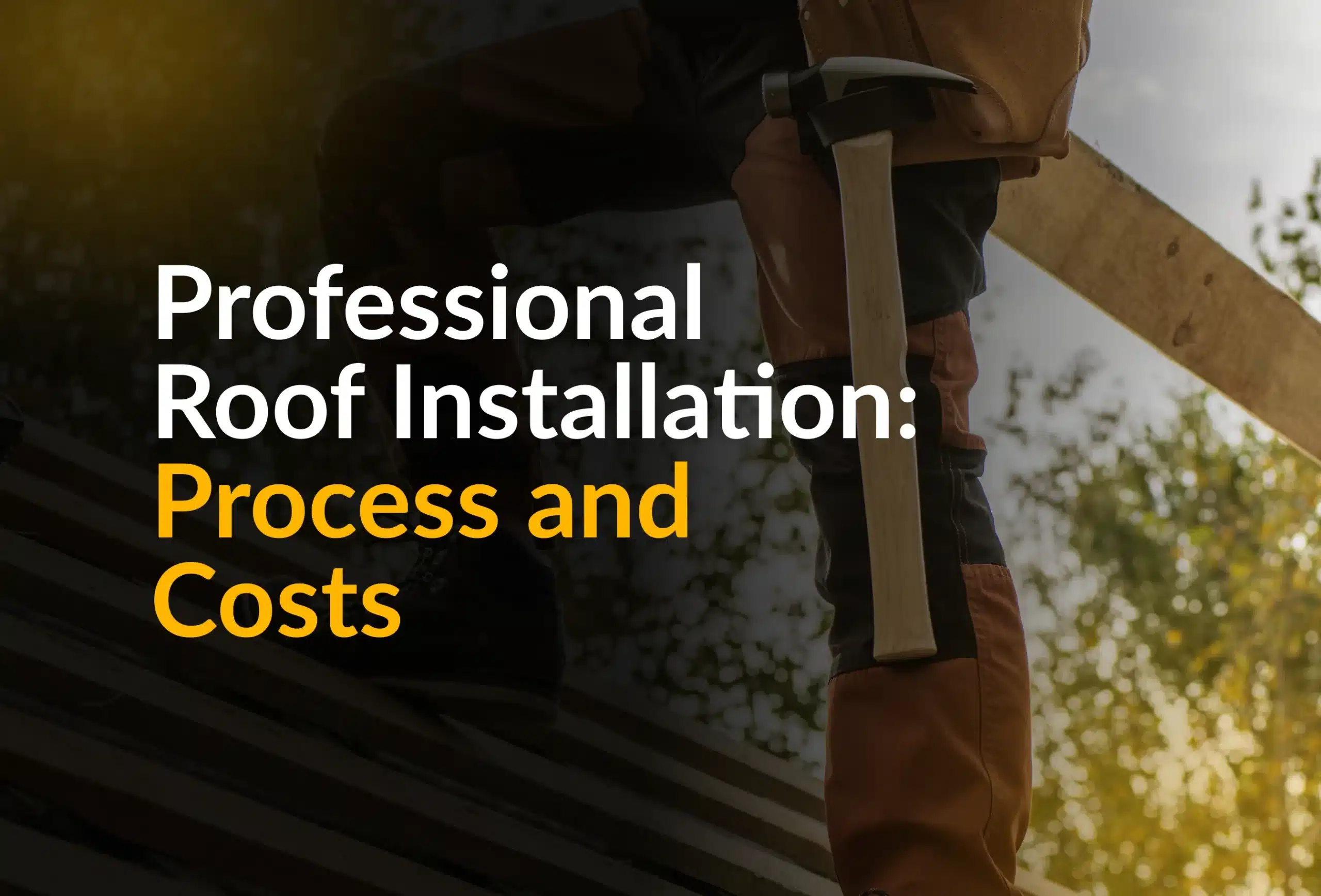 Professional Roof Installation