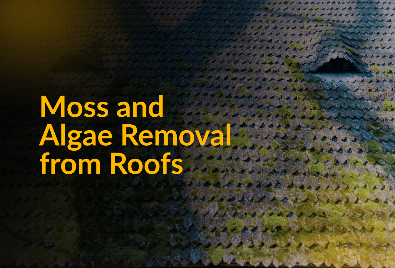 Moss And Algae Removal