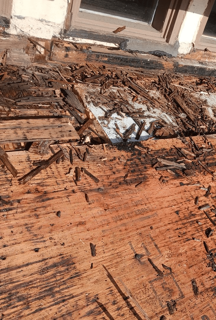 California Roof Removal Company