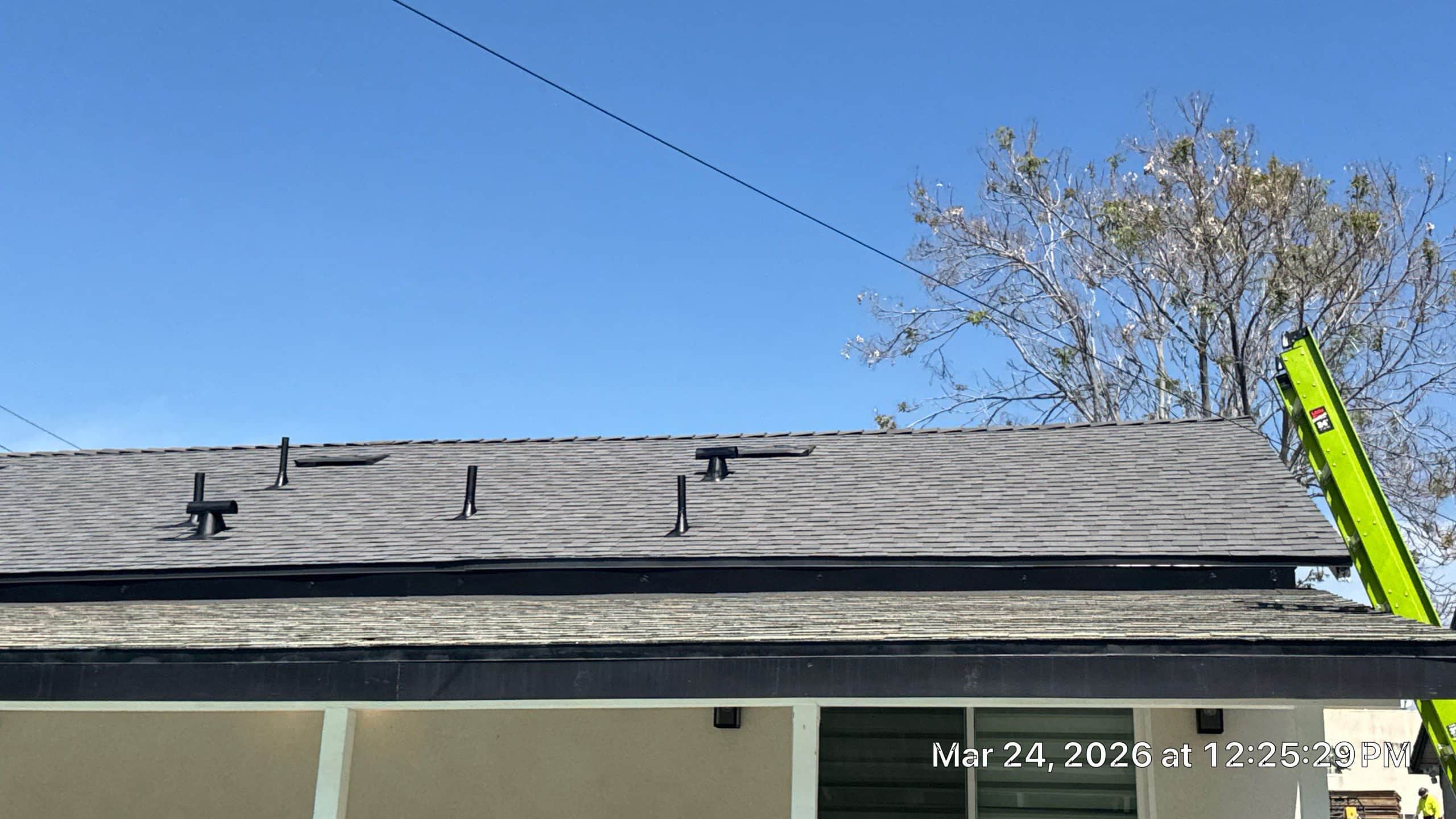 16-Mar 24 2026 12_25pm-LHk7 Shingled house roof with vents and green ladder