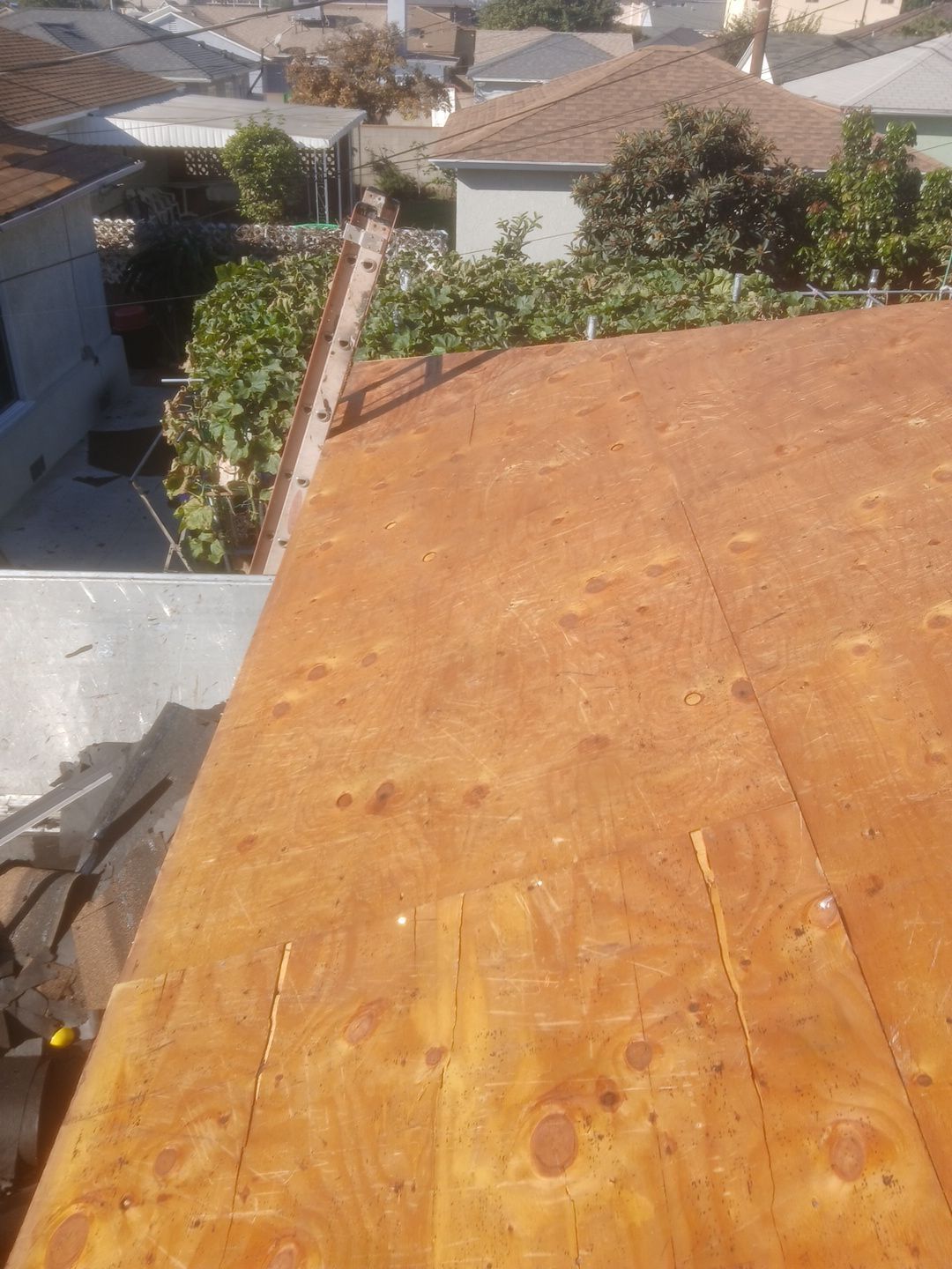 2-Nov 28 2025 09_47am-3uig Plywood roof sheathing with ladder in backyard