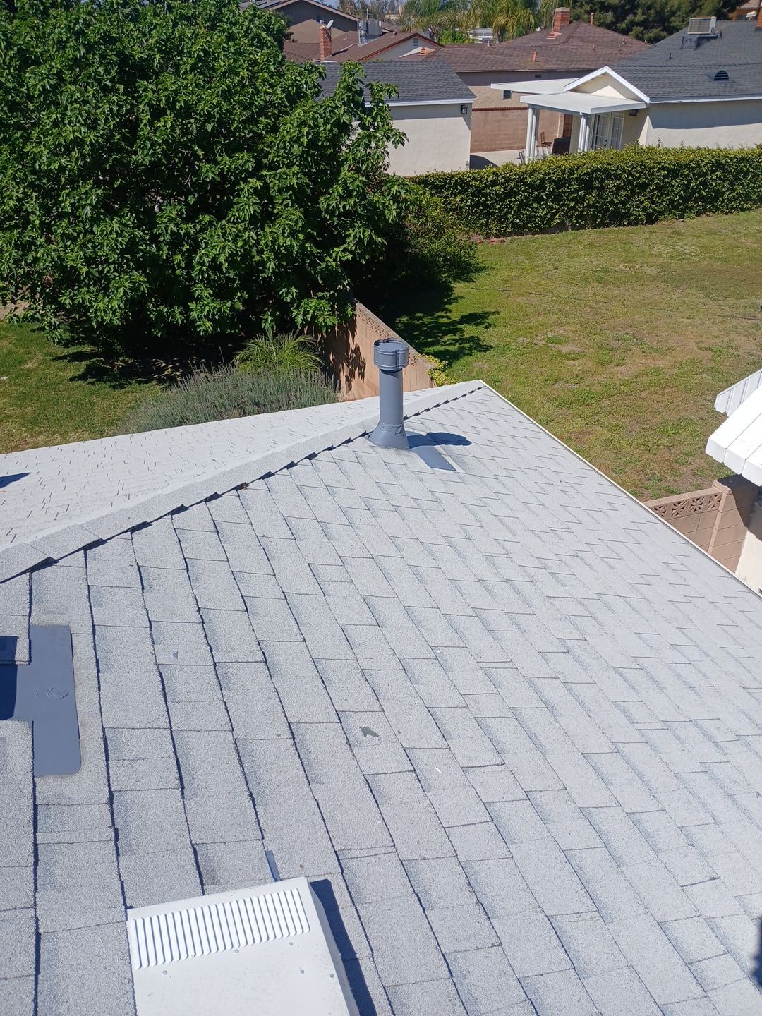22-Mar 19 2026 11_56am-P88x Gray shingle roof with vent and backyard view
