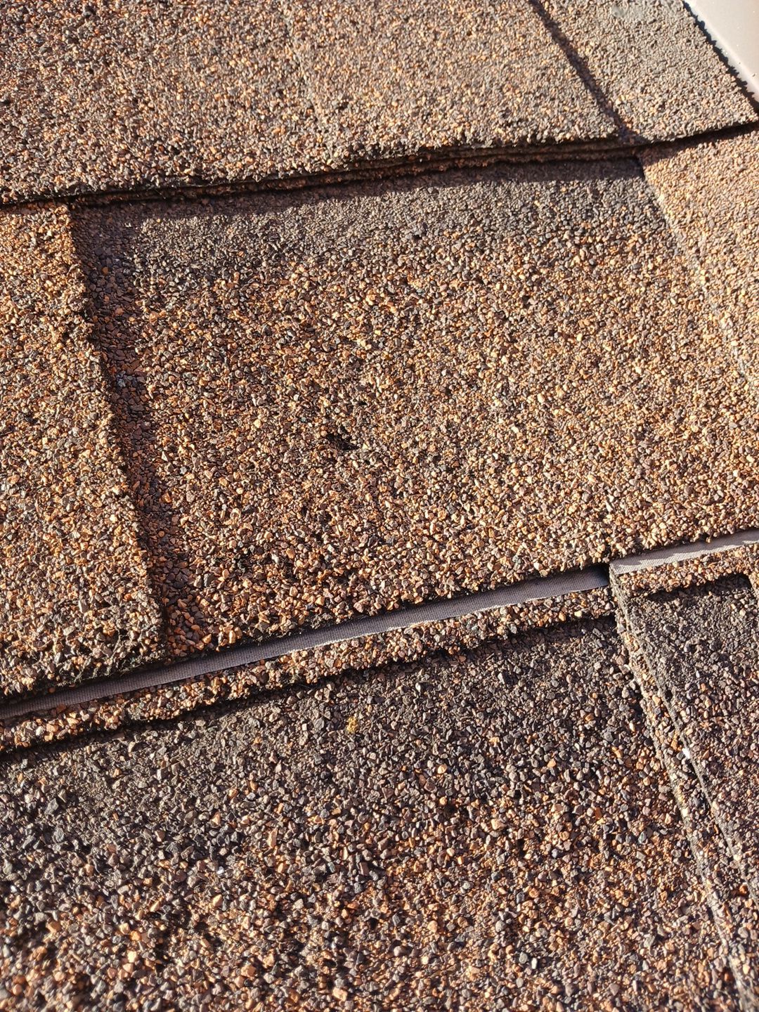 26-Mar 17 2026 08_06am-HJP6 Close-up of worn asphalt roof shingles