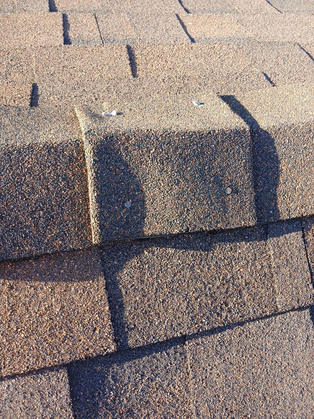 27-Mar 17 2026 08_06am-FkG1 Close-up of damaged asphalt roof shingles