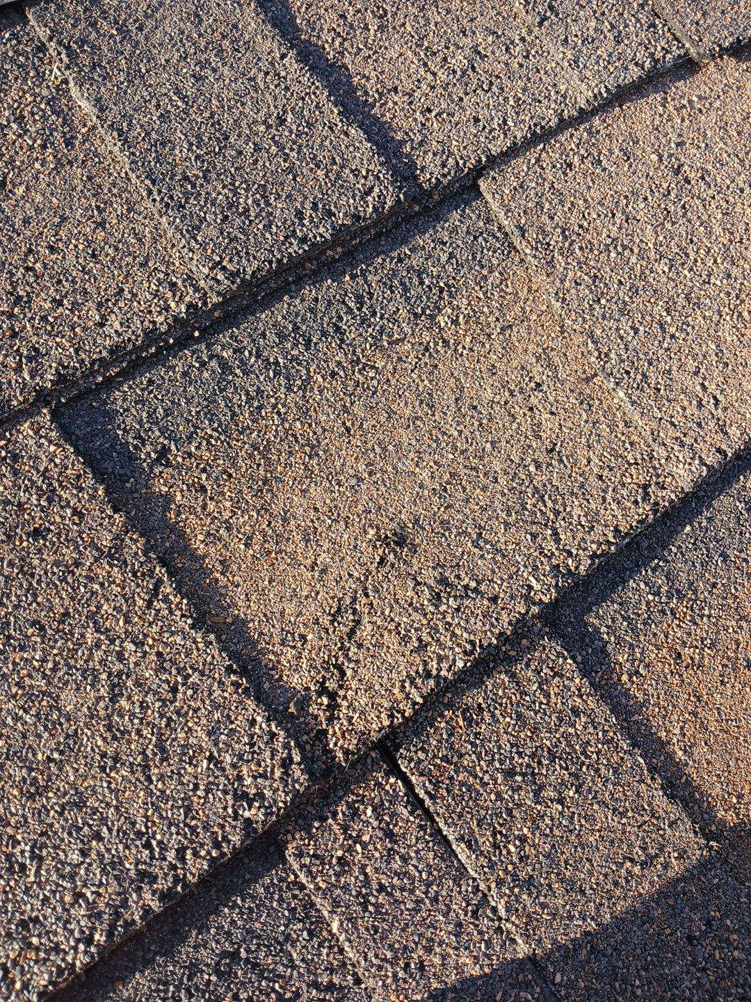 28-Mar 17 2026 08_07am-Hshs Close-up of asphalt roof shingles texture
