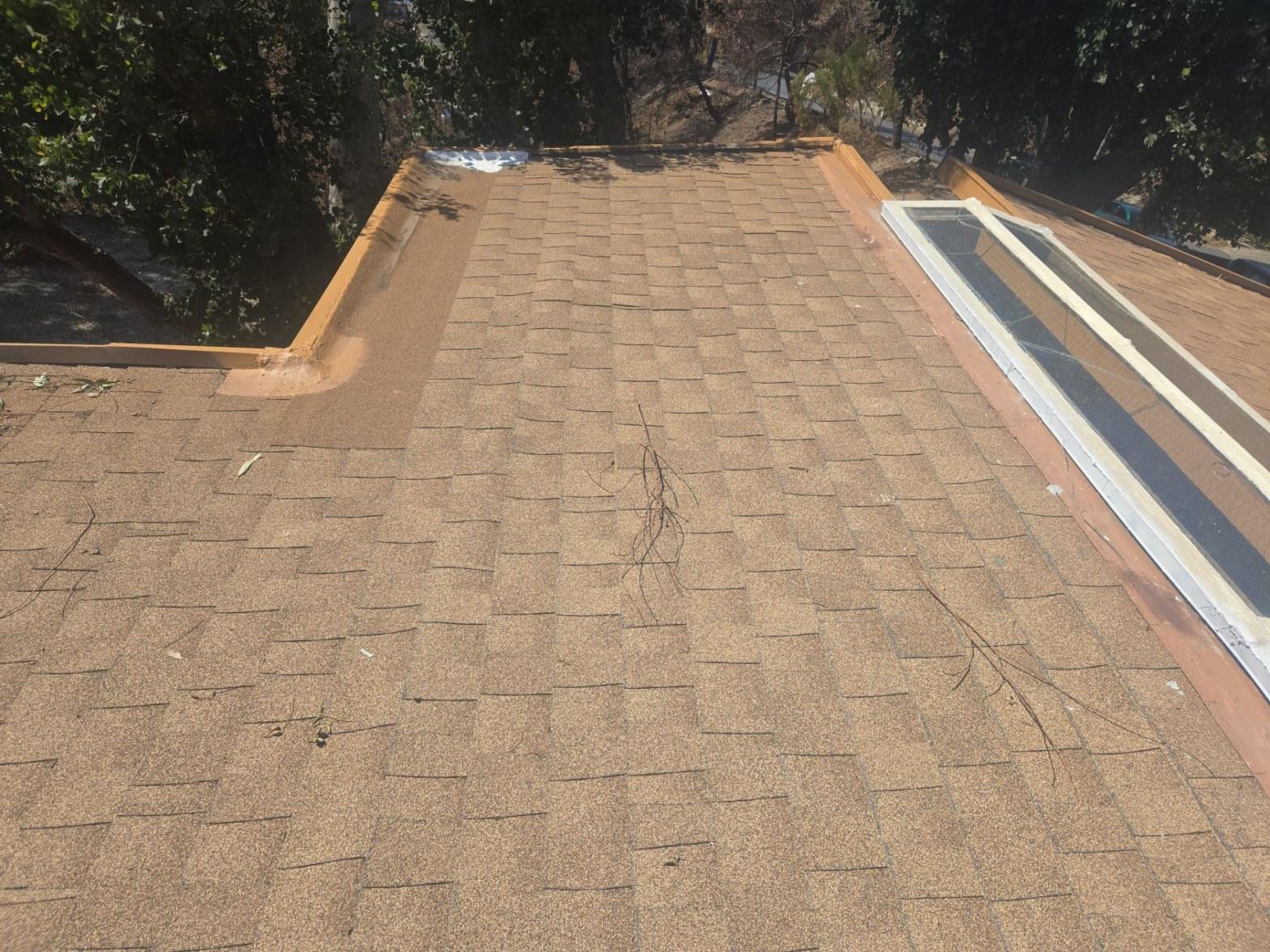 Tan asphalt shingle roof with large skylight, exposed wood fascia trim, and tree debris on surface.