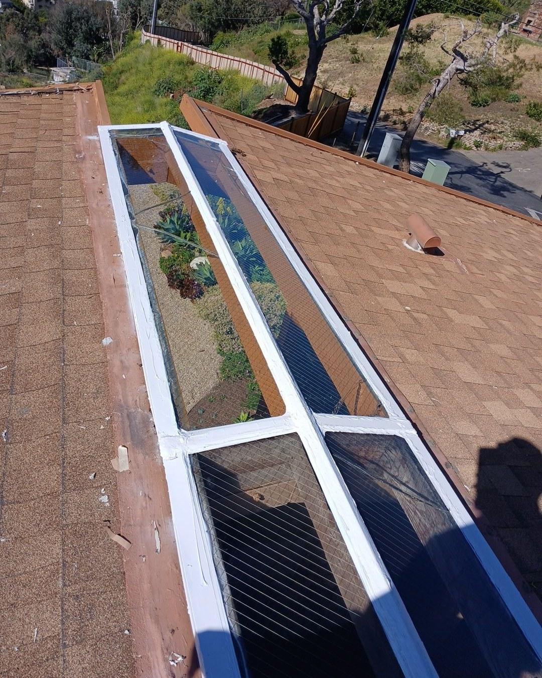 Roof-level view of long white-framed skylight with succulent plants growing below, surrounded by brown asphalt shingles.