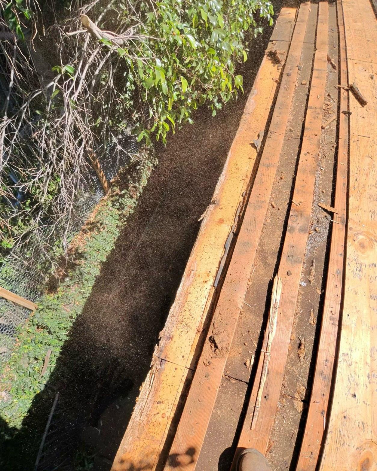 shingle-reroof-14819-sutton-st-los-angeles-563 Aged cedar deck planks with gaps beside a dark mulched garden bed and overgrown shrubs outdoors.