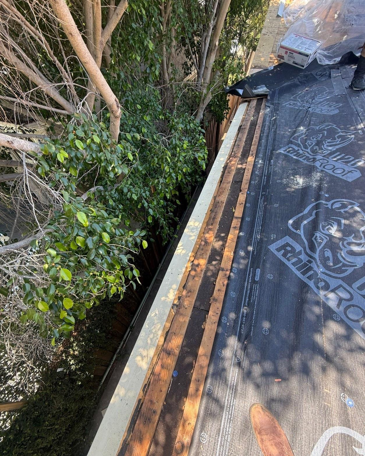 shingle-reroof-14819-sutton-st-los-angeles-570 Roofing project showing Rhino Roof synthetic underlayment on wood decking with exposed fascia board and trees nearby.
