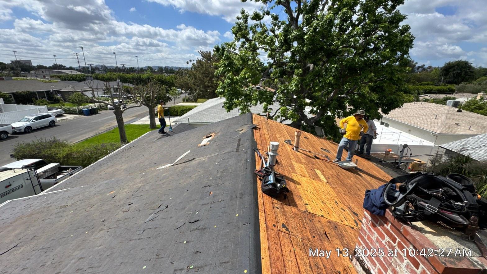 shingle-reroof-6643-saloma-ave-los-angeles-663 Two workers in yellow shirts tearing off asphalt shingles, exposing plywood roof decking on a residential home.