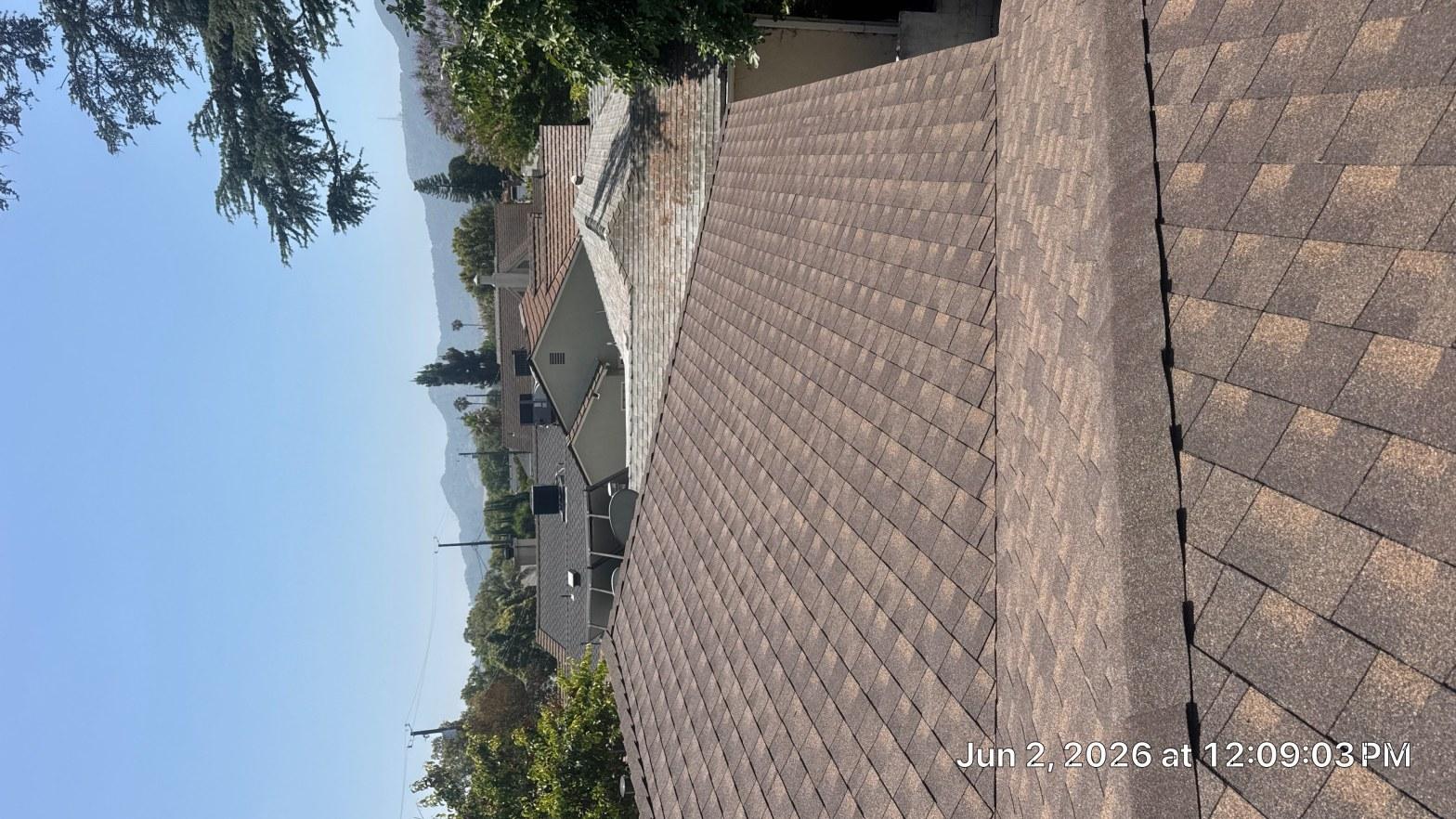 single-reroof-burbank-ca-shingles-flat-flashing-590 Newly installed brown architectural asphalt shingles on residential roof with neighboring house visible in background.