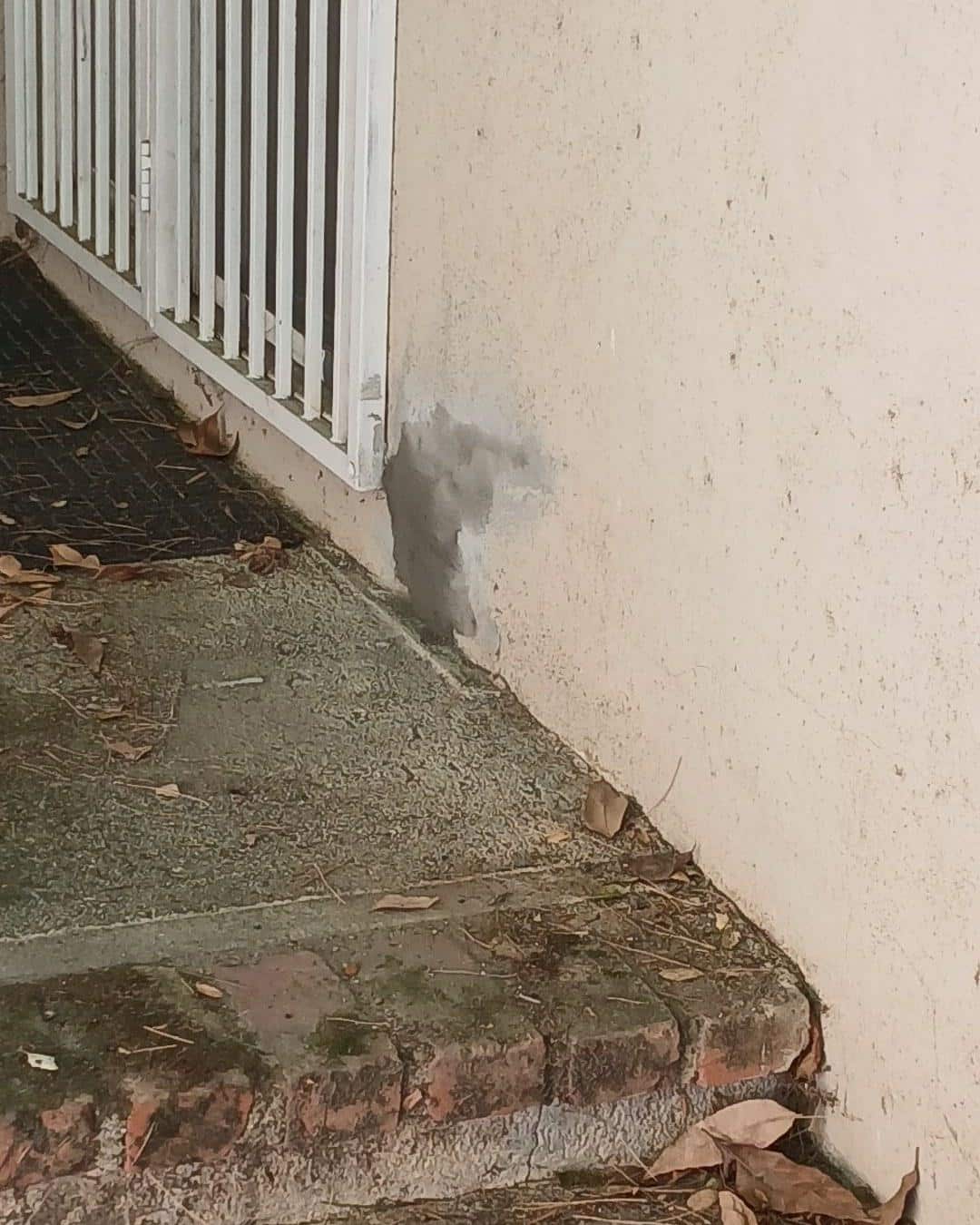 Water damage stain and deteriorating plaster at bottom of exterior stucco wall near concrete steps and white metal railing.