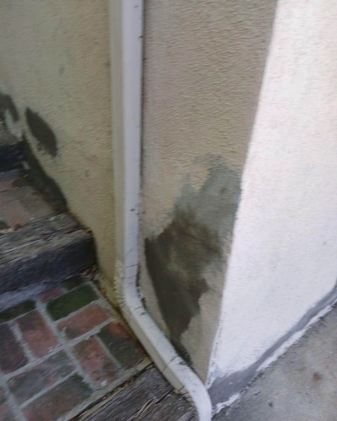 Mold and moisture damage on exterior stucco wall near door frame and brick patio, showing dark discoloration.