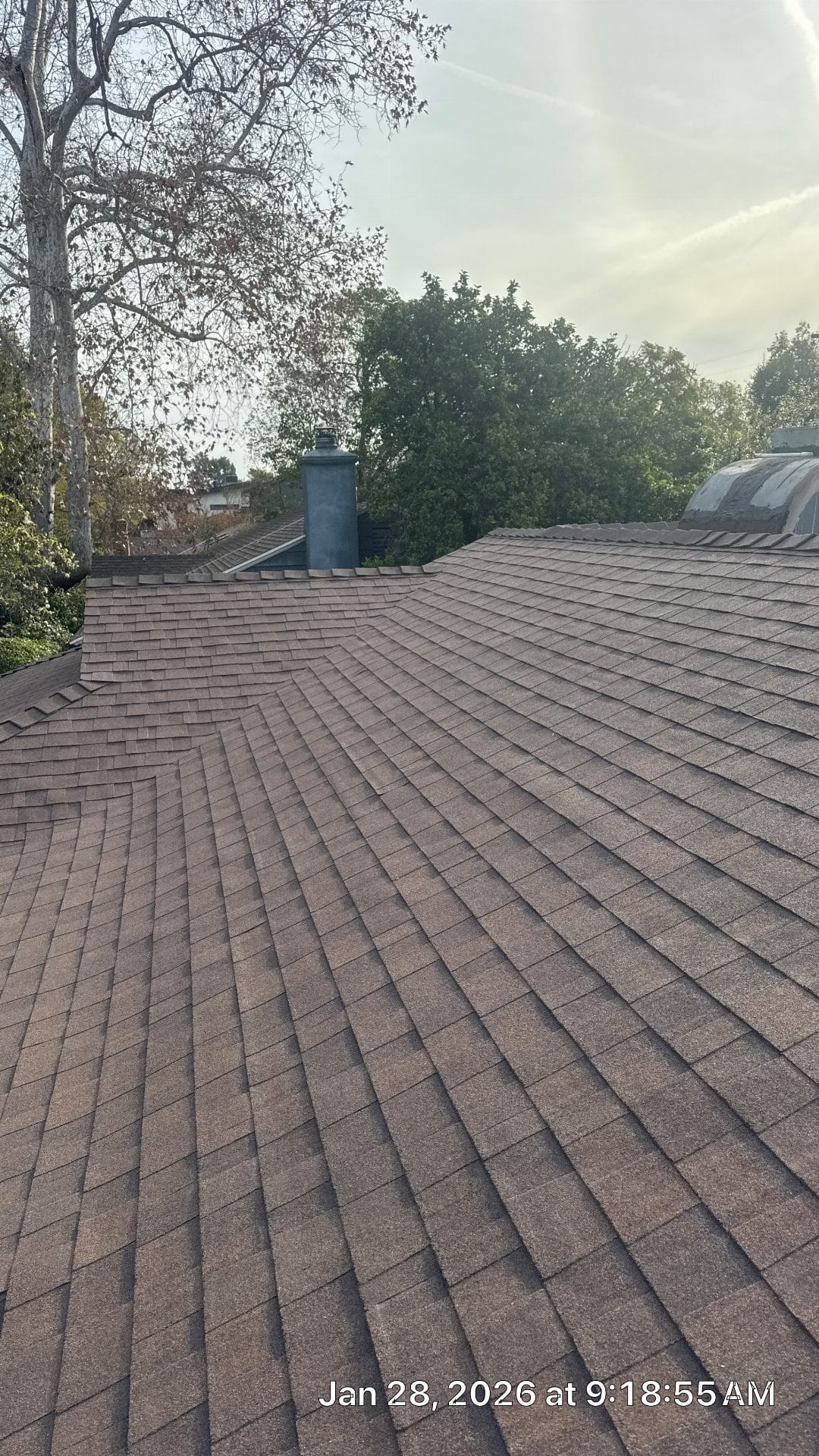 Completed asphalt shingle roof with chimney and skylight | Roof Replacement Inc Completed asphalt shingle roof with chimney and skylight — Roof Replacement Inc