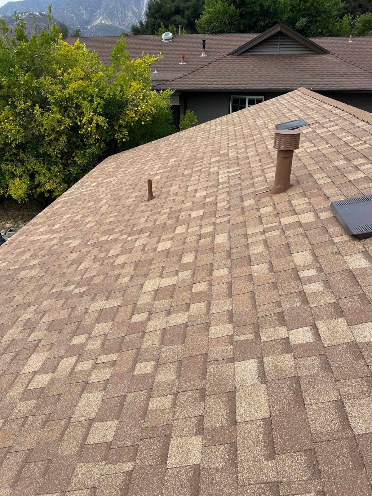 Tan asphalt shingle roof with pipe vents and exhaust cap in Altadena | Roof Replacement Inc tan asphalt shingle roof with pipe vents and exhaust cap — Altadena — Roof Replacement Inc