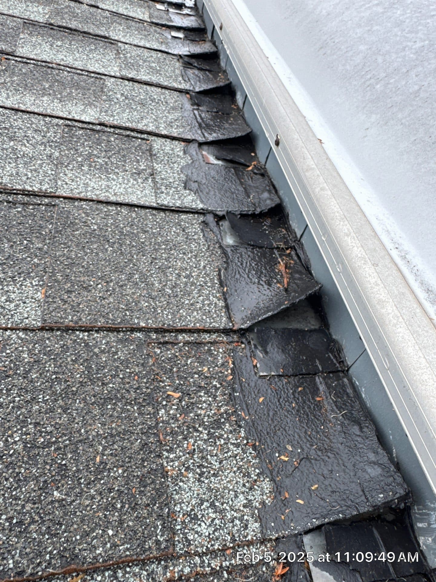 damaged curling asphalt shingles along roof edge gutter line — La Crescenta-Montrose — Roof Replacement Inc