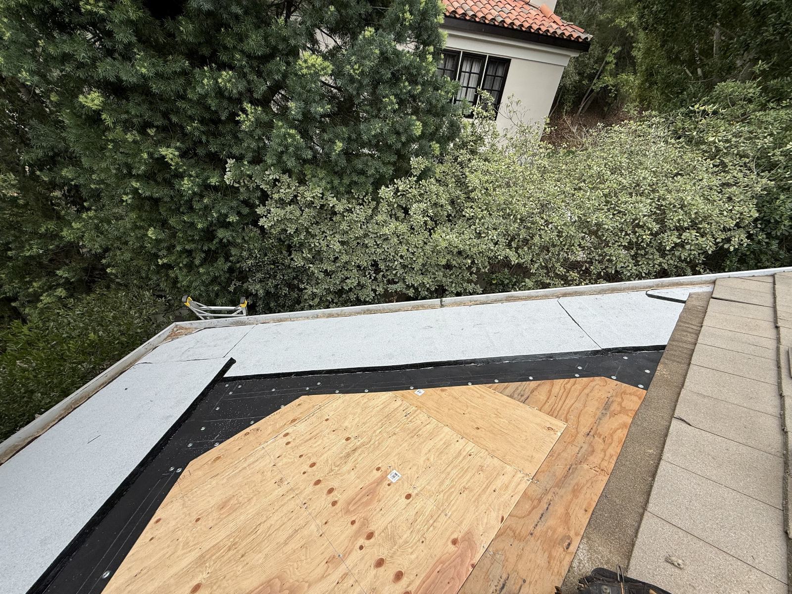 flat roof installation with plywood decking and cap sheet membrane — Roof Replacement Inc