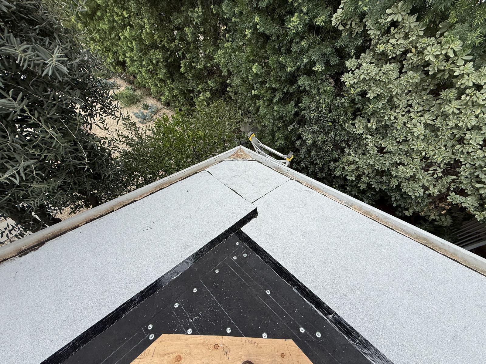 Flat roof with modified bitumen membrane, exposed plywood, black flashing, ladder visible | Roof Replacement Inc flat roof with modified bitumen membrane, exposed plywood, black flashing, ladder visible — Roof Replacement Inc