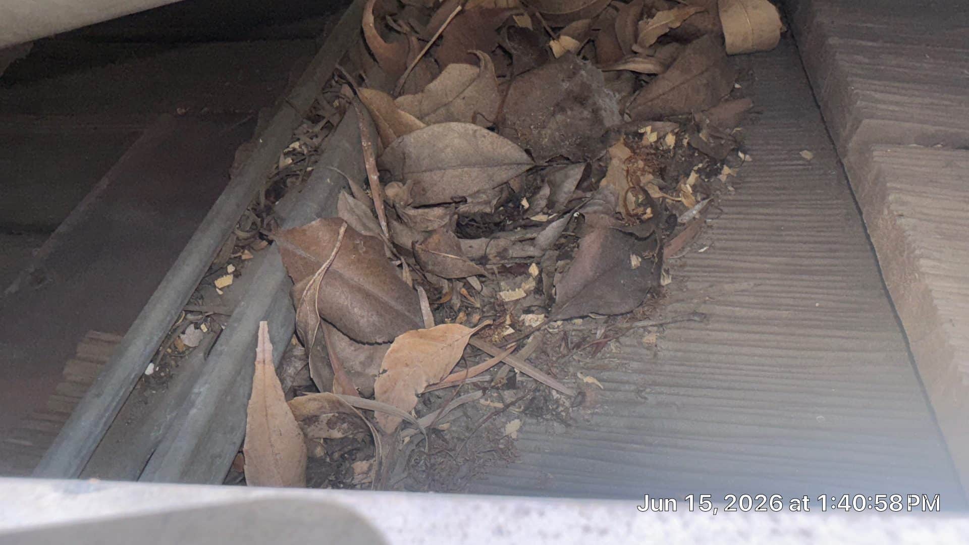Clogged rain gutter filled with dry dead leaves debris | Roof Replacement Inc Clogged rain gutter filled with dry dead leaves debris — Roof Replacement Inc