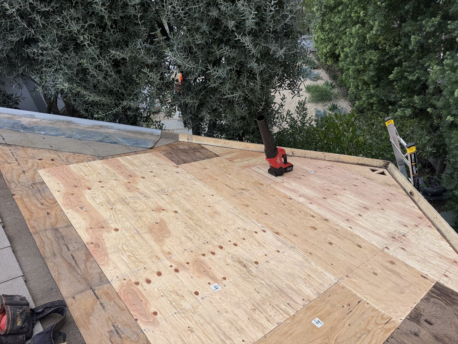 plywood roof sheathing installation with Milwaukee blower and ladder — Roof Replacement Inc