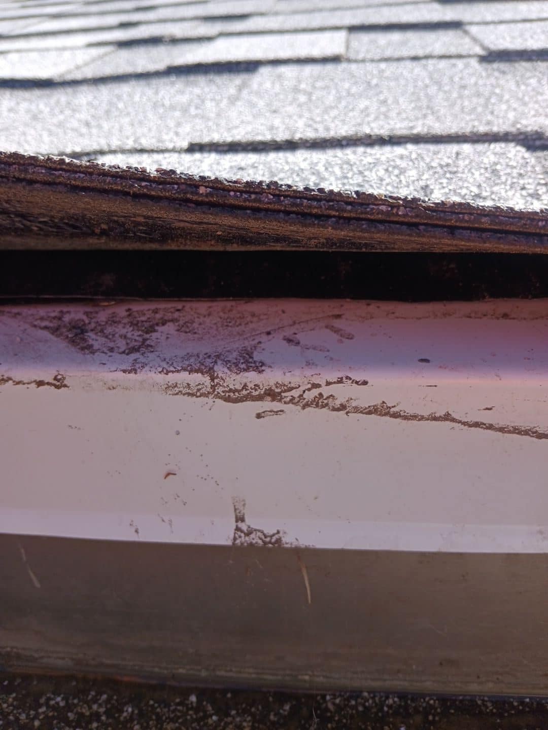 Roof Replacement Inc roofing project in Studio City