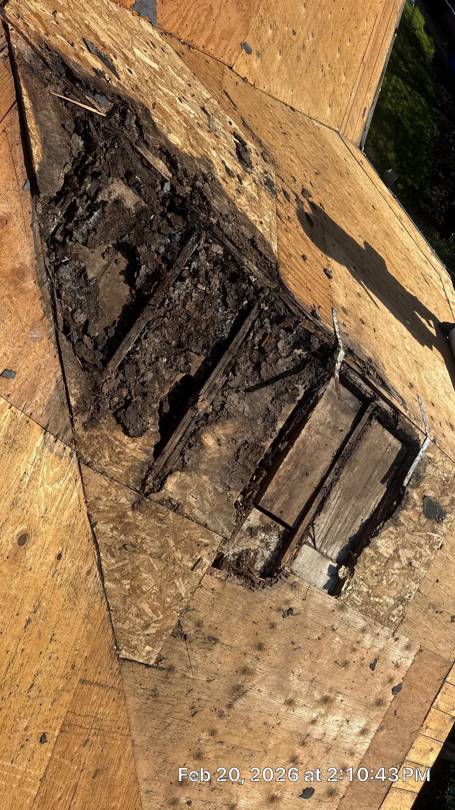 Rotted roof decking removed, exposing damaged OSB and rafters — Roof Replacement Inc