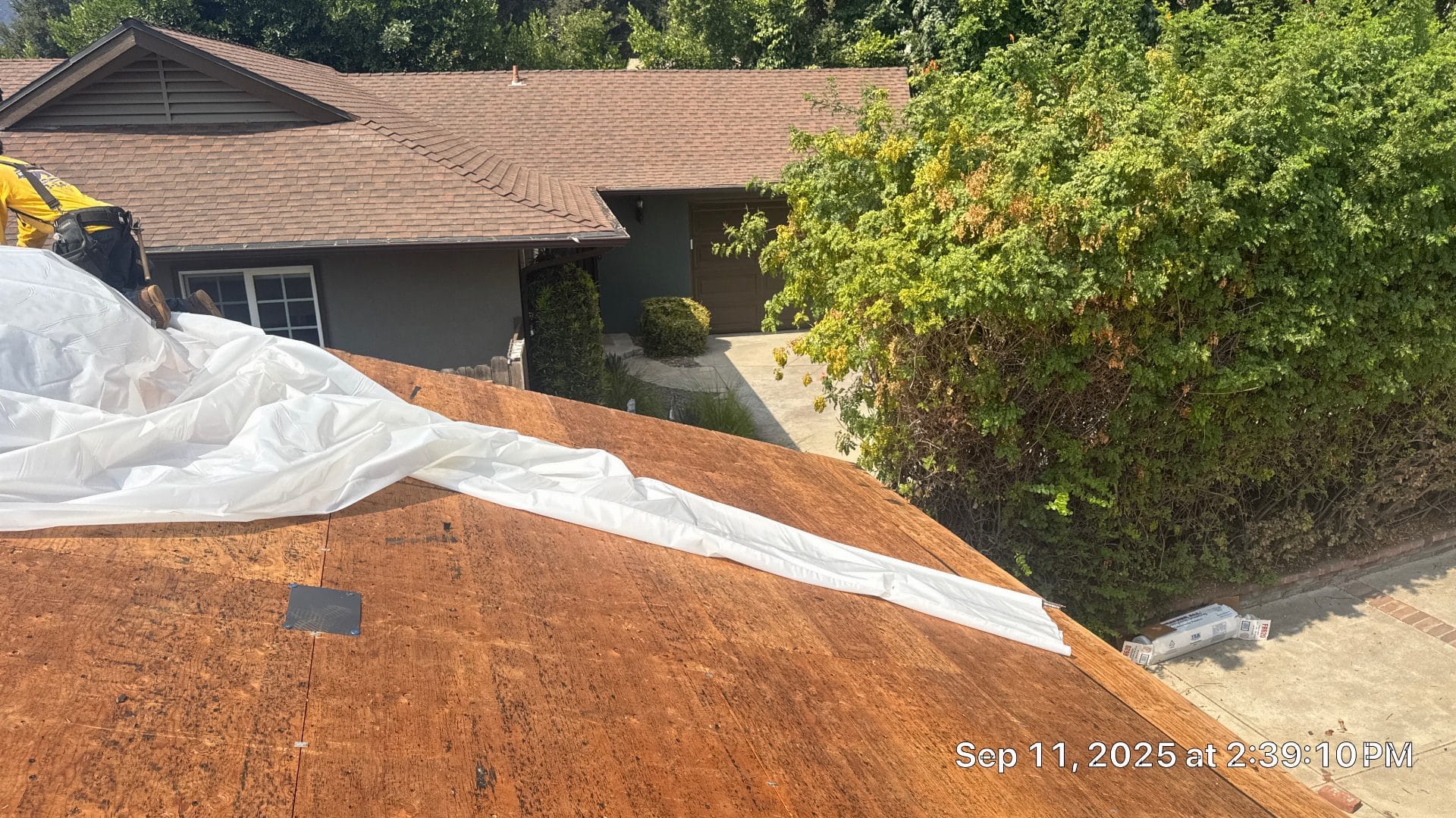 Worker rolling white underlayment on bare plywood roof deck in Altadena | Roof Replacement Inc worker rolling white underlayment on bare plywood roof deck — Altadena — Roof Replacement Inc