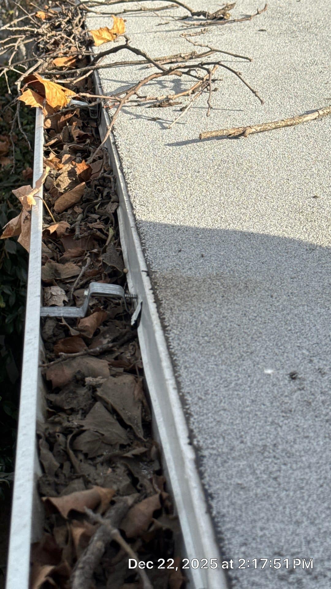 Clogged roof gutter filled with dry leaves and twigs — Studio City — Roof Replacement Inc