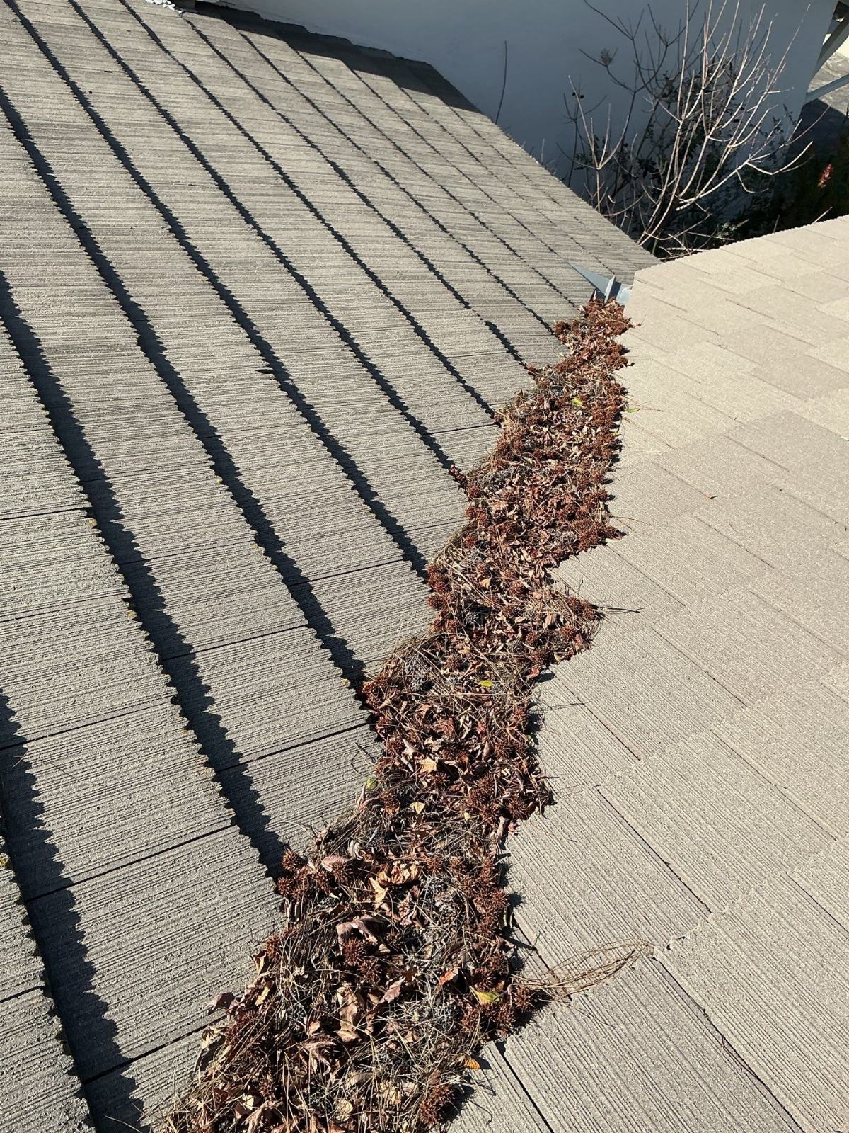 Debris-filled roof valley between two asphalt shingle sections in Granada Hills | Roof Replacement Inc Debris-filled roof valley between two asphalt shingle sections — Granada Hills — Roof Replacement Inc