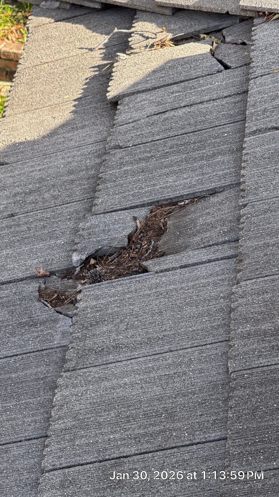 Damaged asphalt shingles with hole, debris, and lifted shingles in Granada Hills | Roof Replacement Inc Damaged asphalt shingles with hole, debris, and lifted shingles — Granada Hills — Roof Replacement Inc