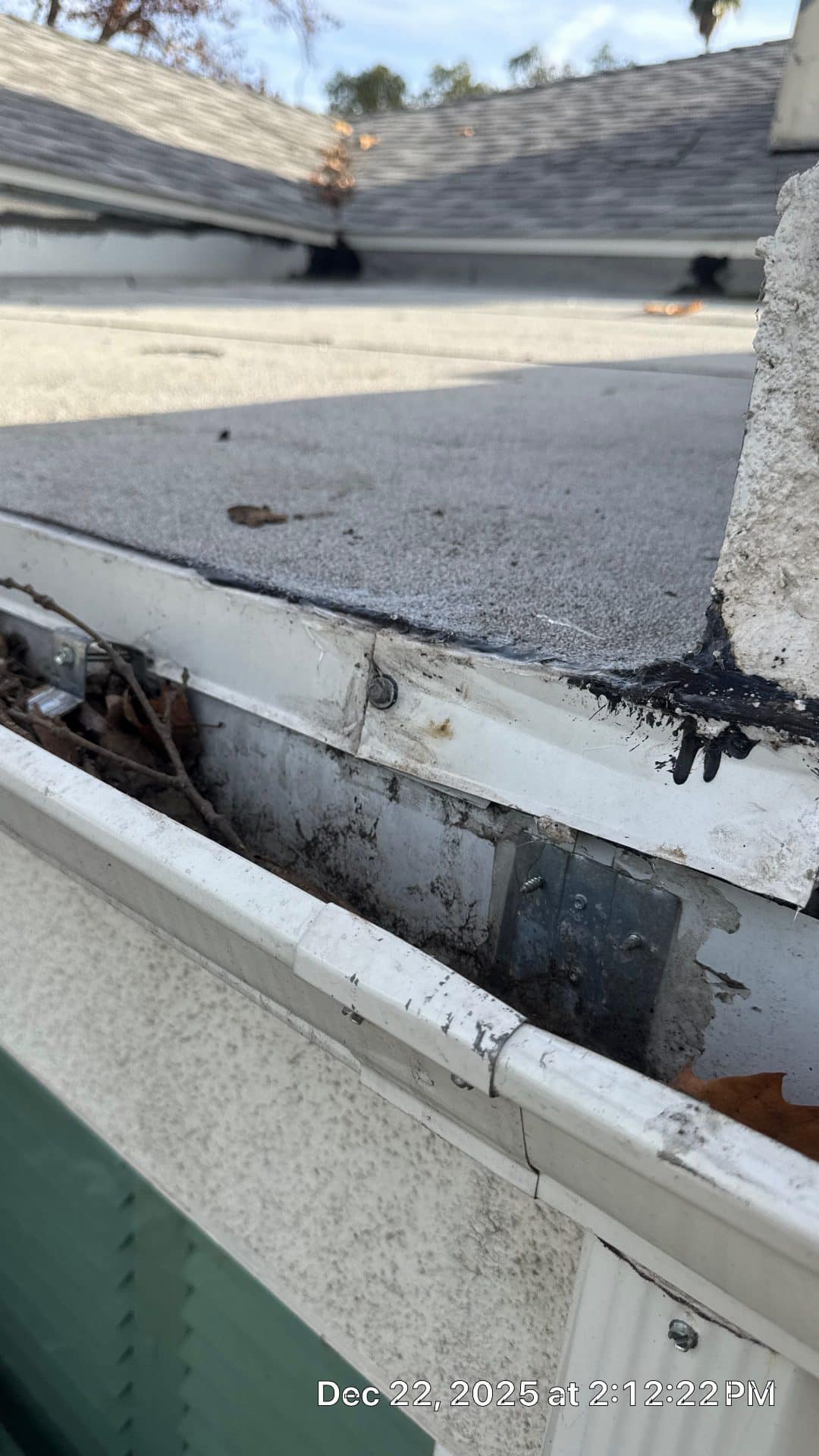 Clogged gutter debris, flat roof edge, fascia flashing detail — Studio City — Roof Replacement Inc