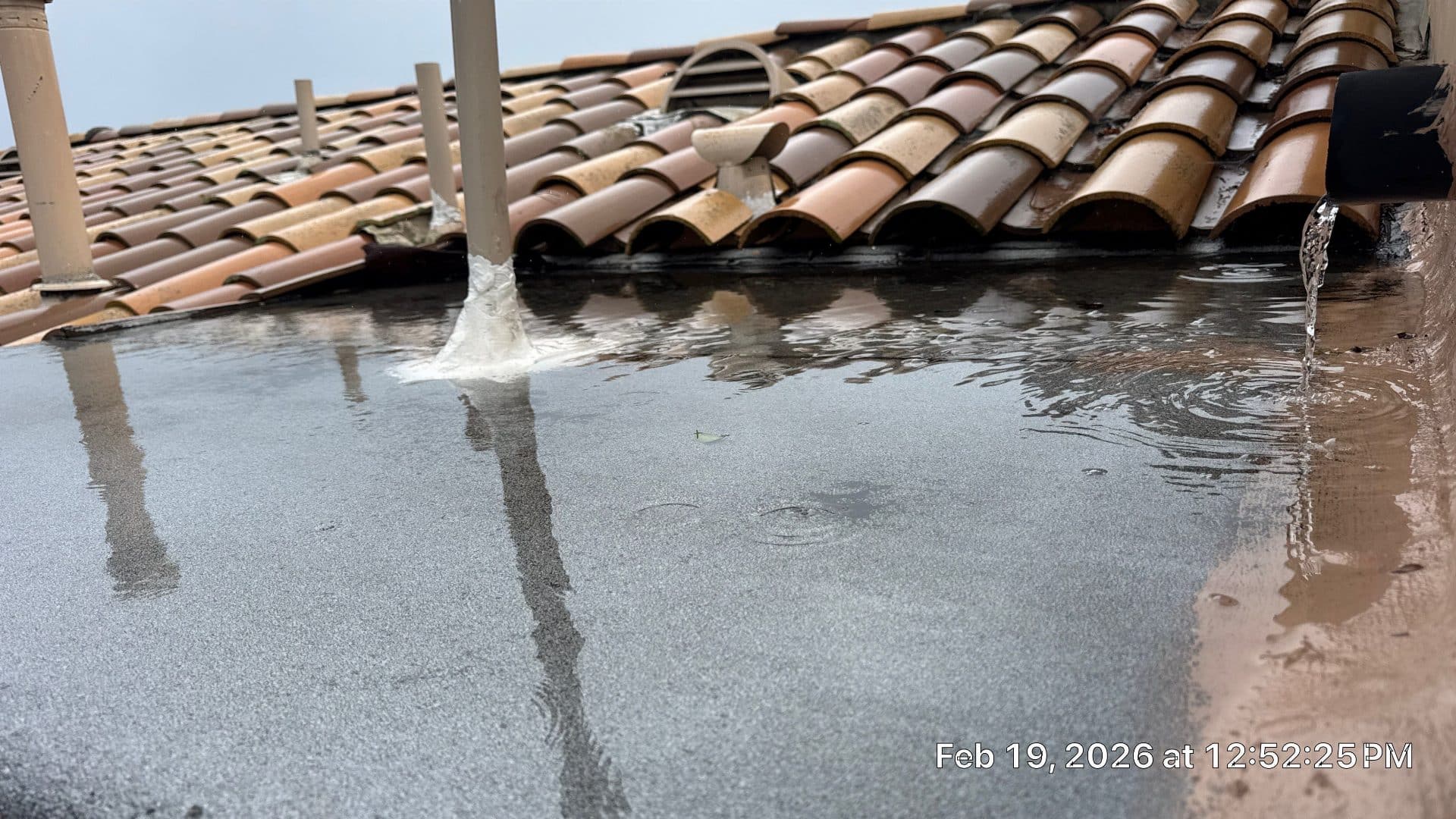 Flat roof with ponding water, downspout overflow, clay tile roof edge in Malibu | Roof Replacement Inc Flat roof with ponding water, downspout overflow, clay tile roof edge — Malibu — Roof Replacement Inc