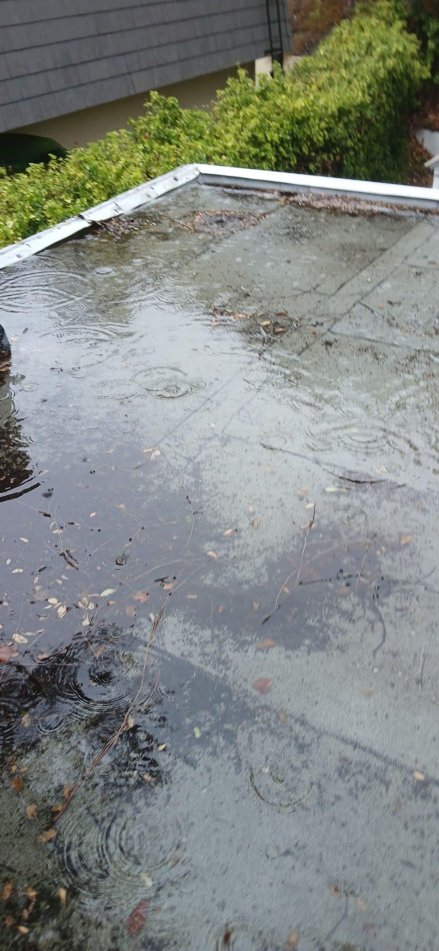 Flat roof with ponding water and debris — Encino — Roof Replacement Inc