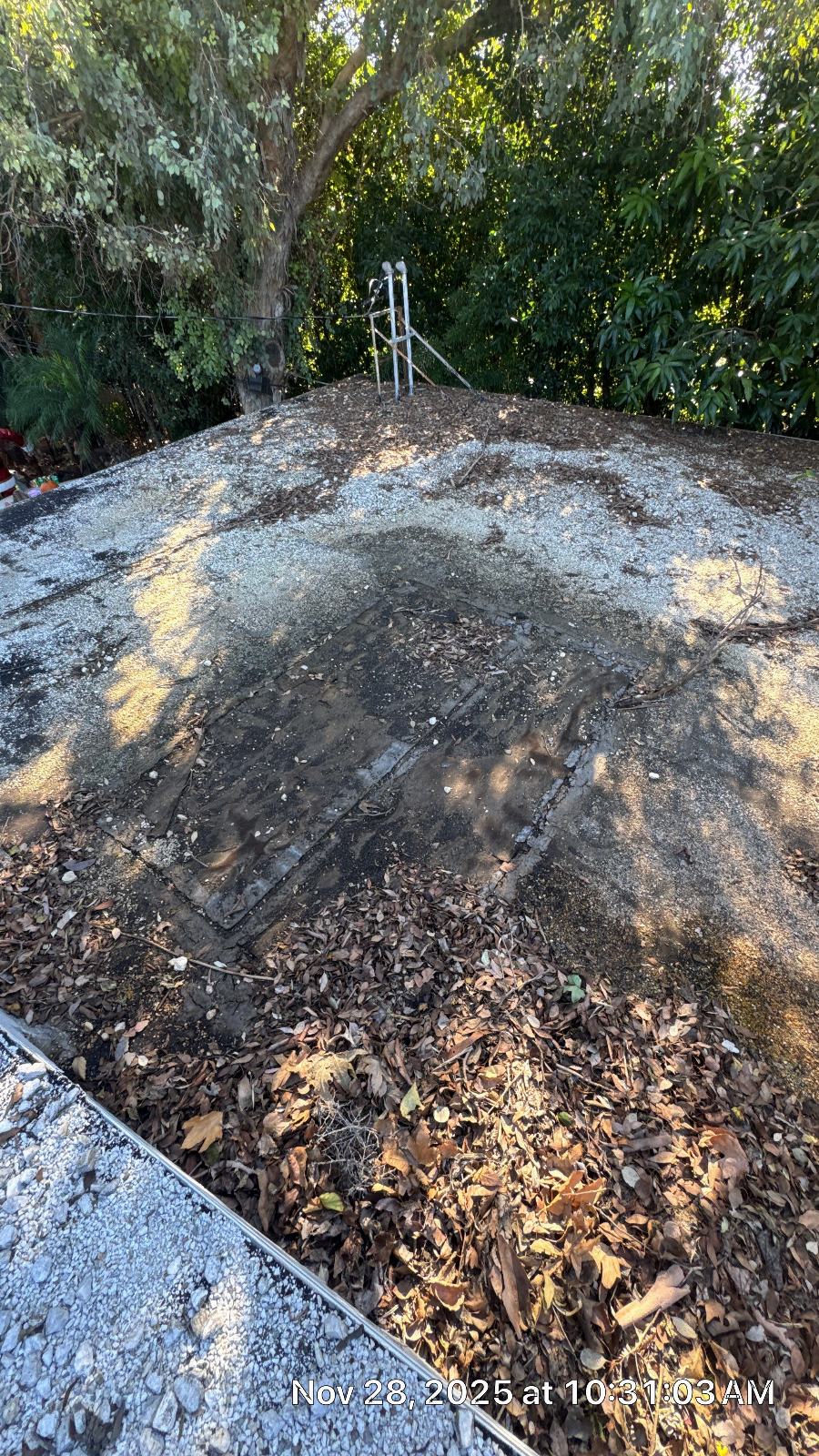 Worn flat roof with exposed membrane patches and leaf debris in Northridge | Roof Replacement Inc Worn flat roof with exposed membrane patches and leaf debris — Northridge — Roof Replacement Inc