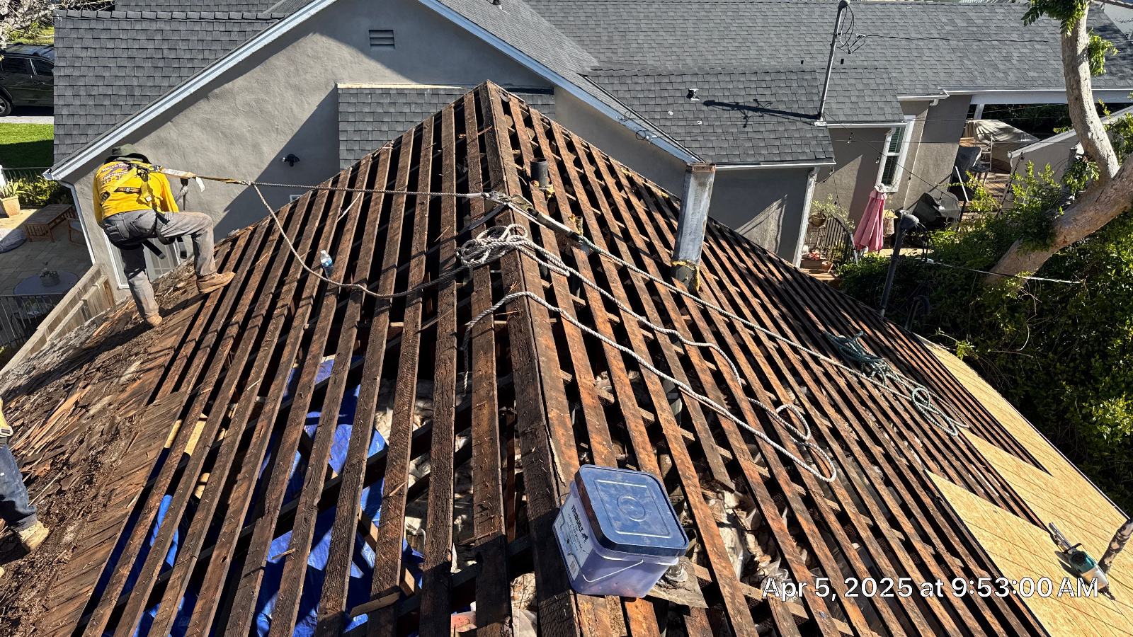 Stripped hip roof showing spaced wood sheathing, safety ropes, worker at eave in Glendale | Roof Replacement Inc Stripped hip roof showing spaced wood sheathing, safety ropes, worker at eave — Glendale — Roof Replacement Inc