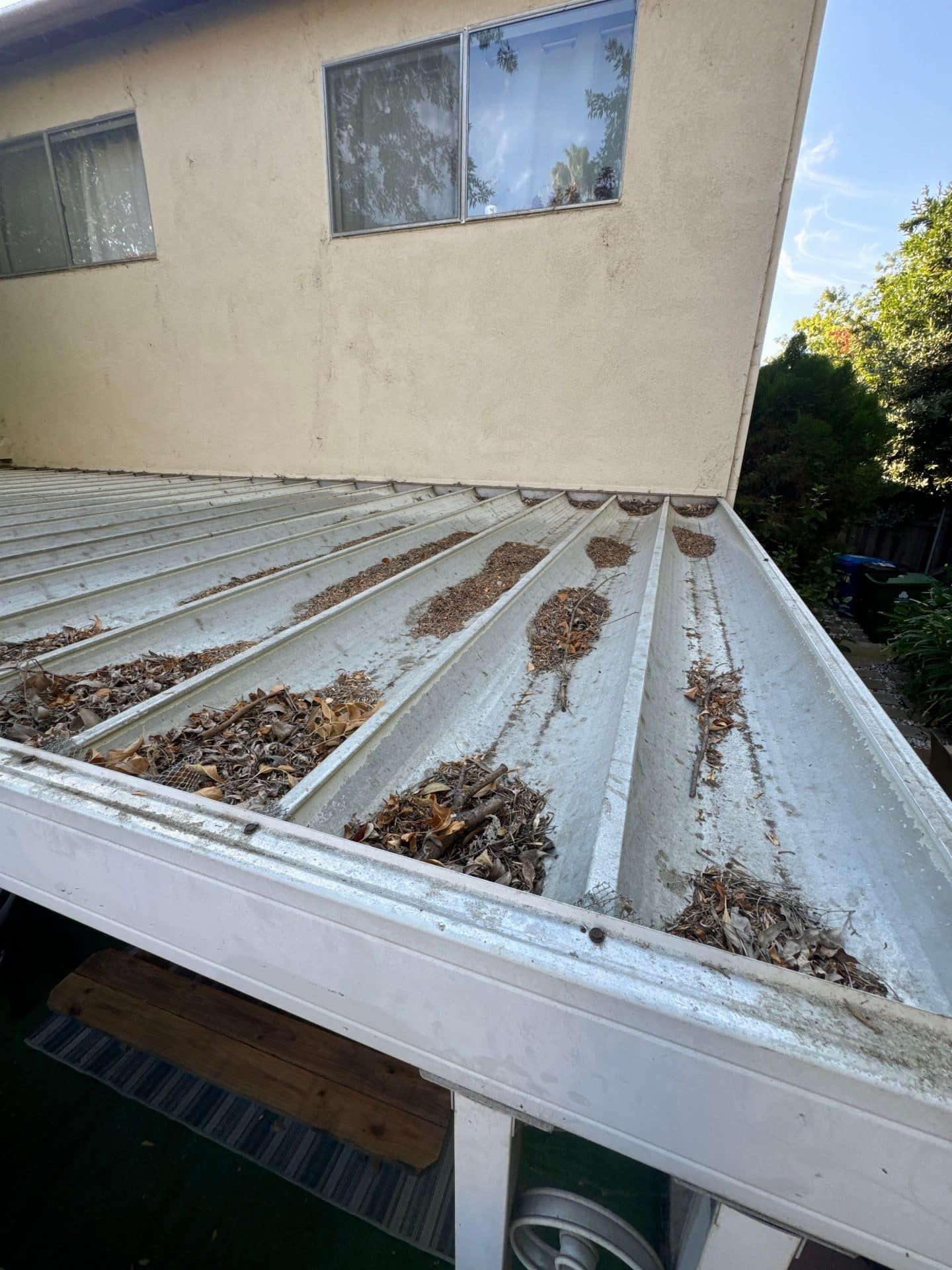 Corrugated metal patio cover roof covered in dry leaves debris in West Hills | Roof Replacement Inc Corrugated metal patio cover roof covered in dry leaves debris — West Hills — Roof Replacement Inc