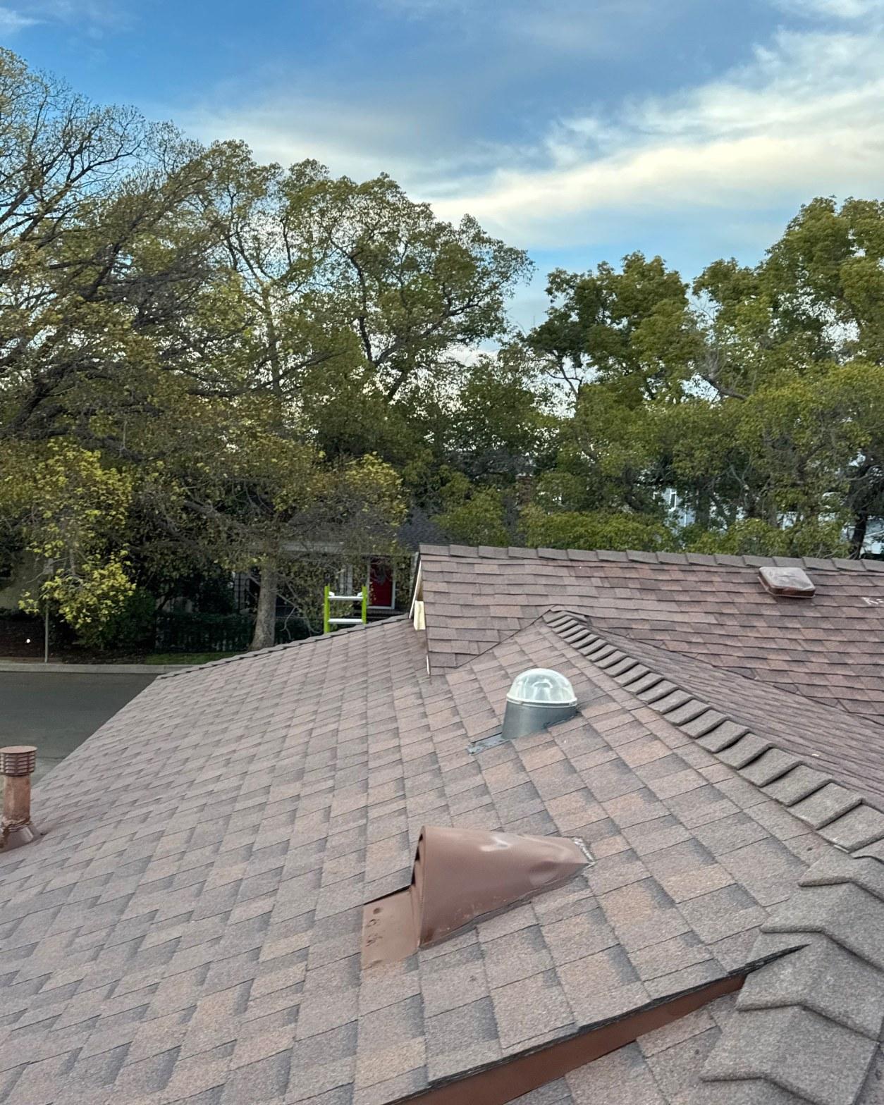 shingle-reroof-duration-cool-plus-los-angeles-3324 Brown asphalt shingle roof with pipe boot vent and tubular daylighting device, residential neighborhood trees in background.