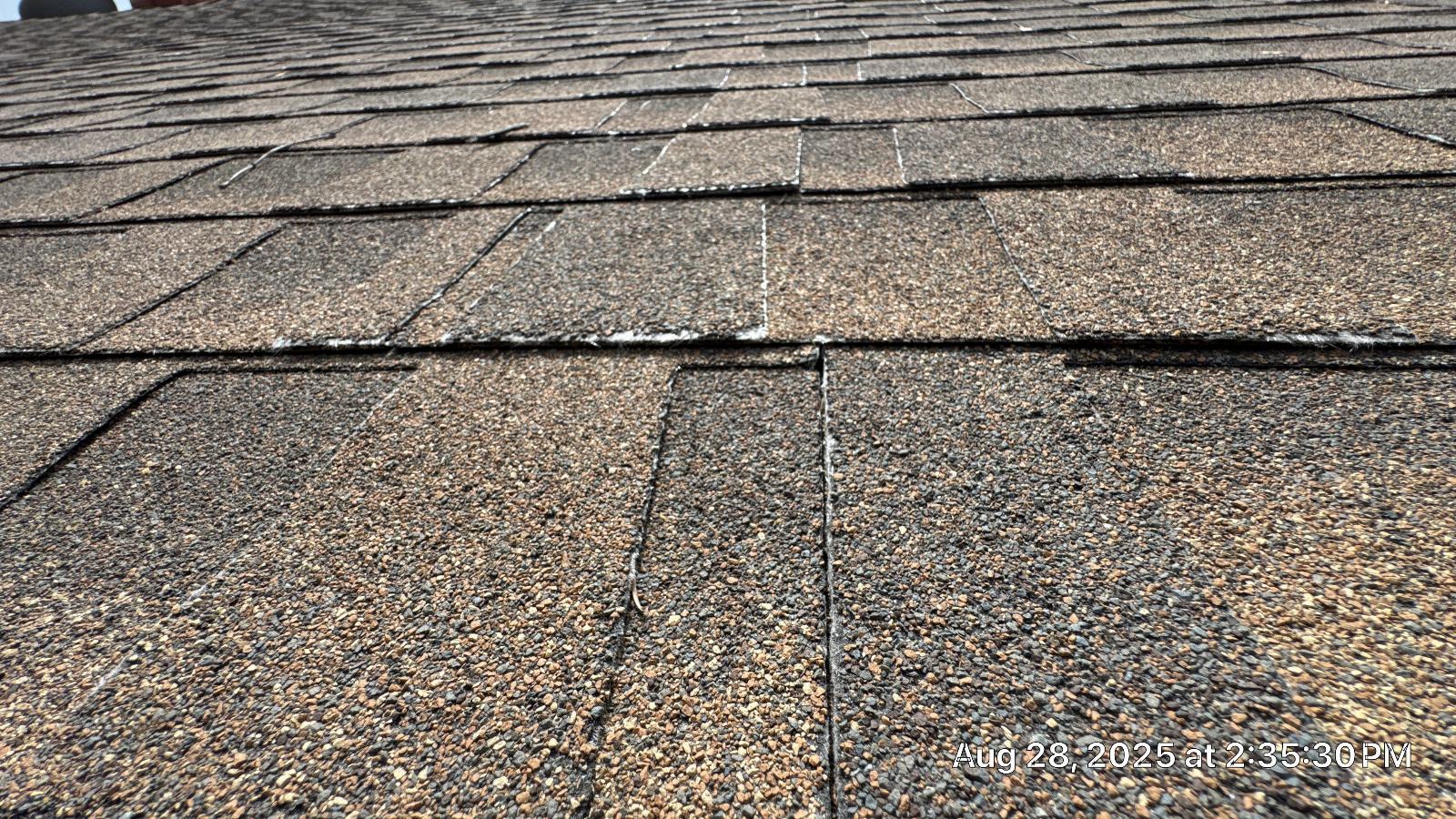 Close-up of brown asphalt shingles with visible cracking and wear — Altadena — Roof Replacement Inc