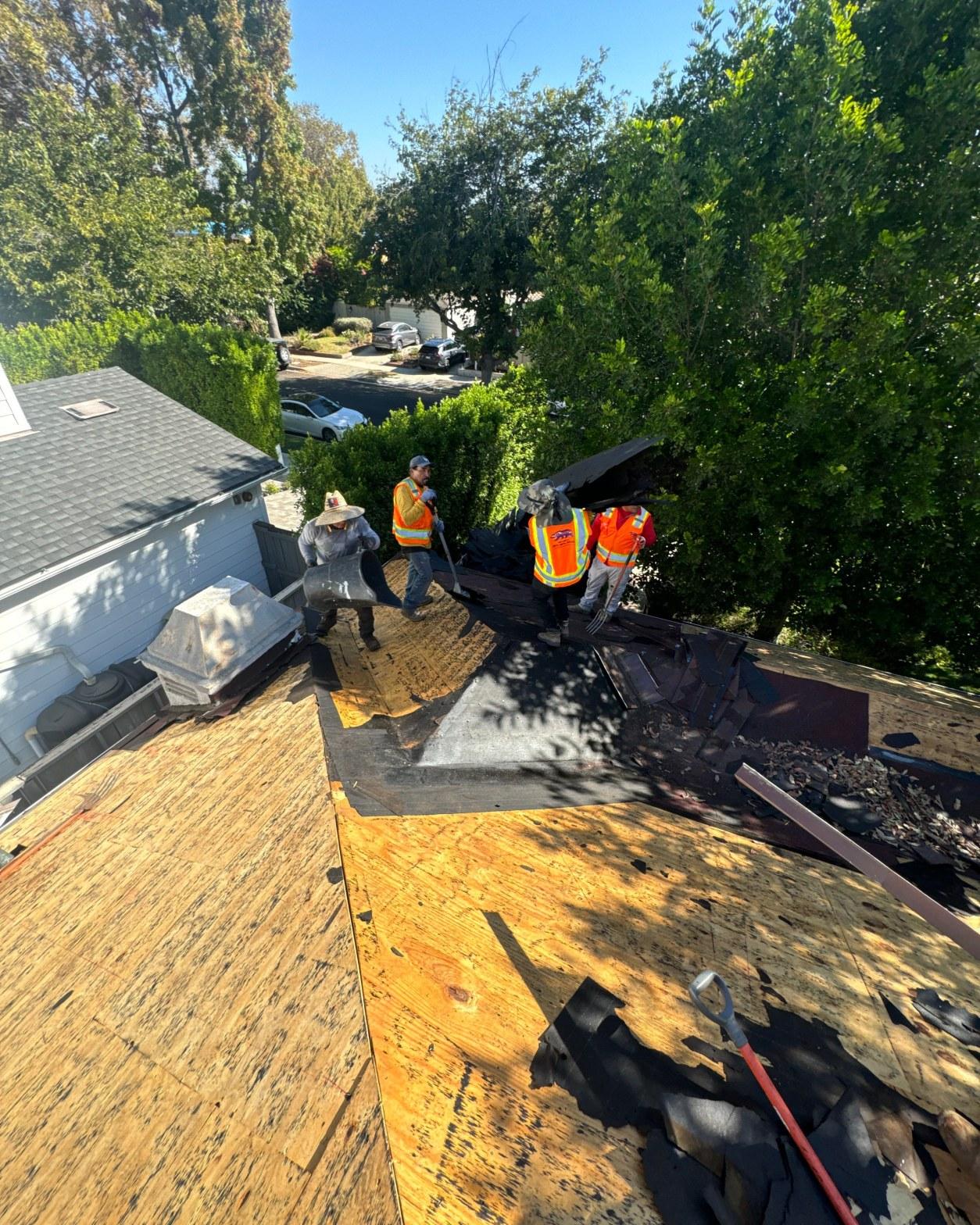 Roofing crew in safety vests stripping old shingles to bare plywood decking during a San Fernando Valley tear-off reroof