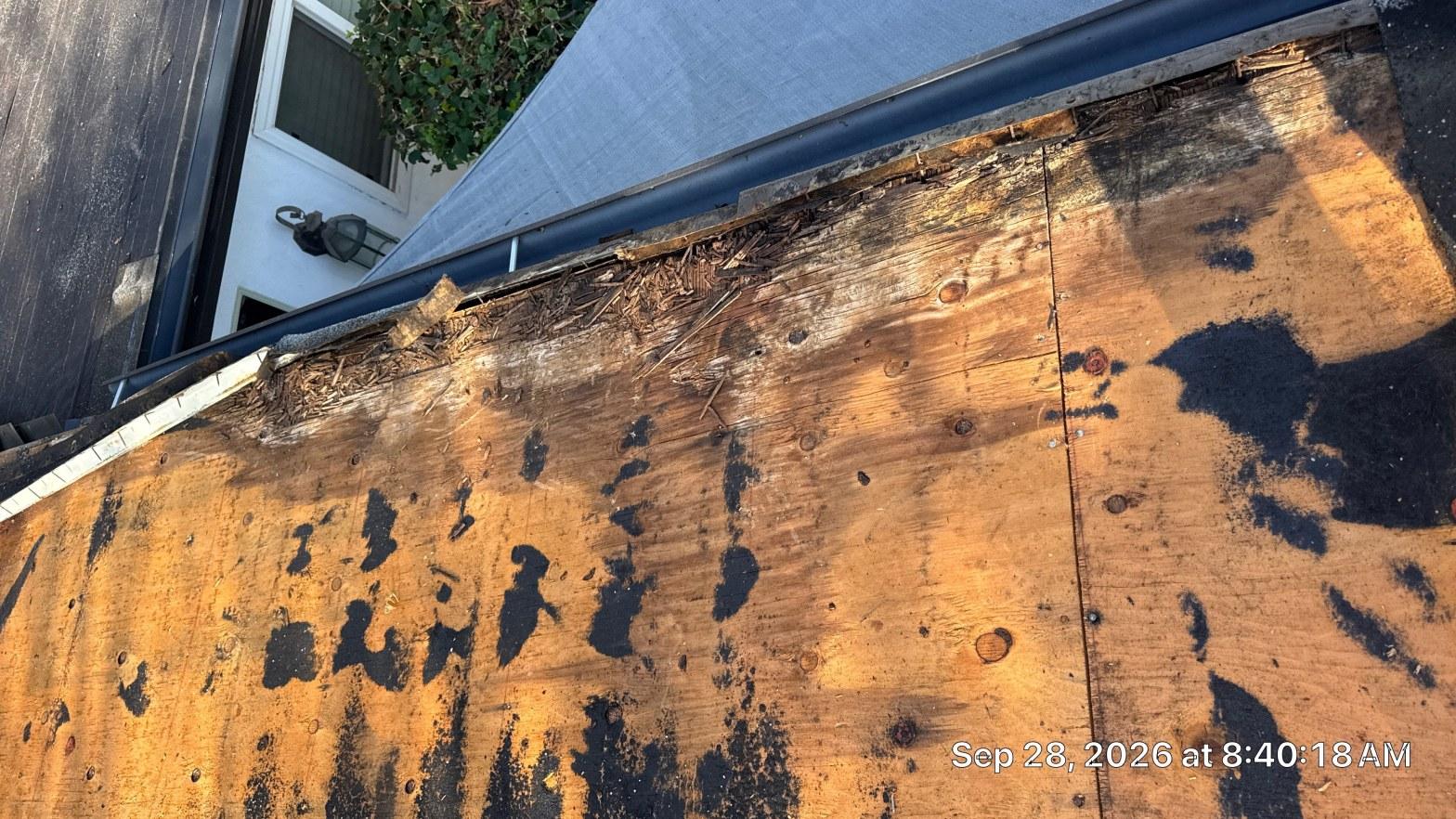 Exposed roof deck at the eave showing dark water staining and deteriorated boards after the composition shingles came off