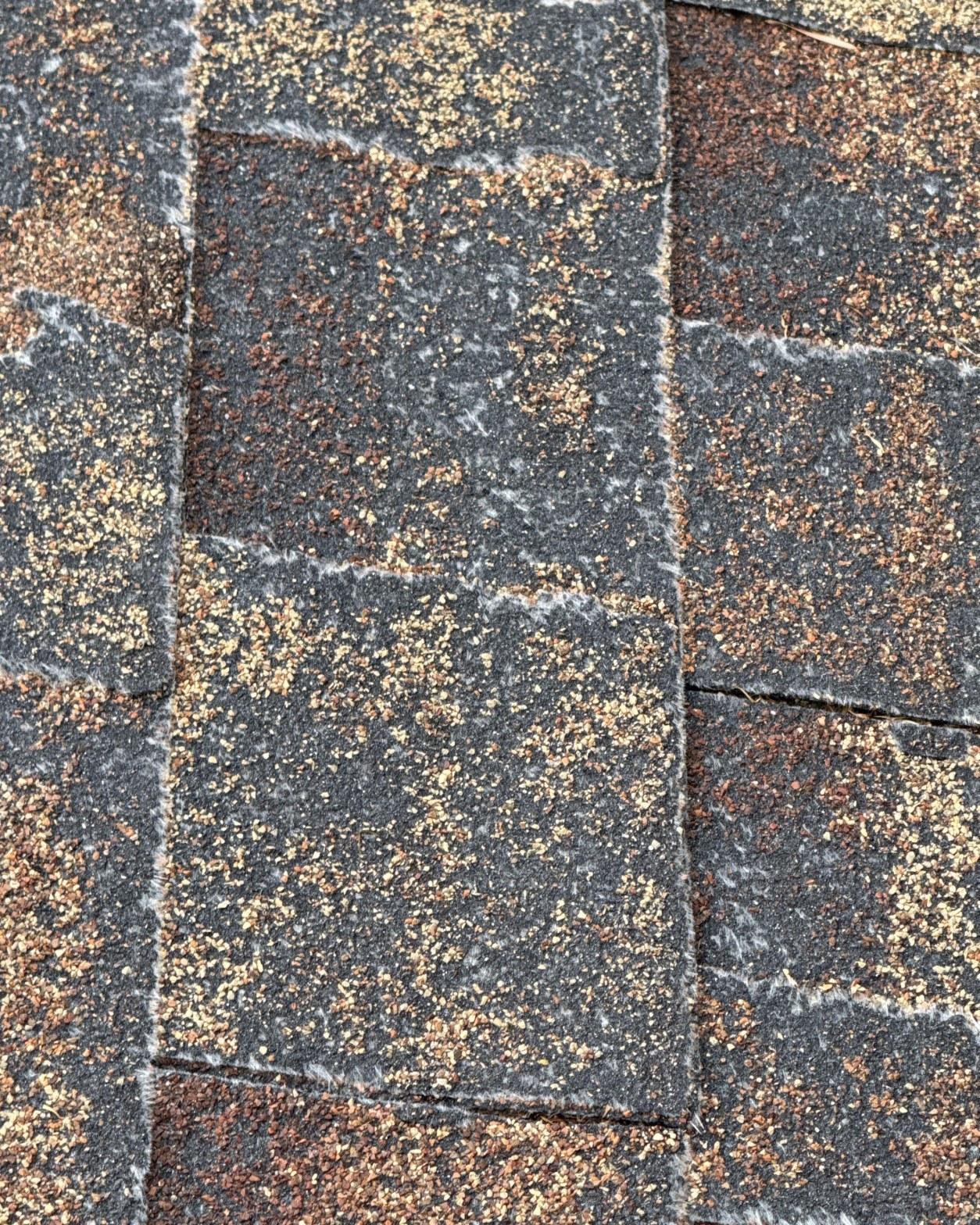 Close-up of severe granule loss on aged asphalt shingles showing exposed fiberglass mat and oxidation