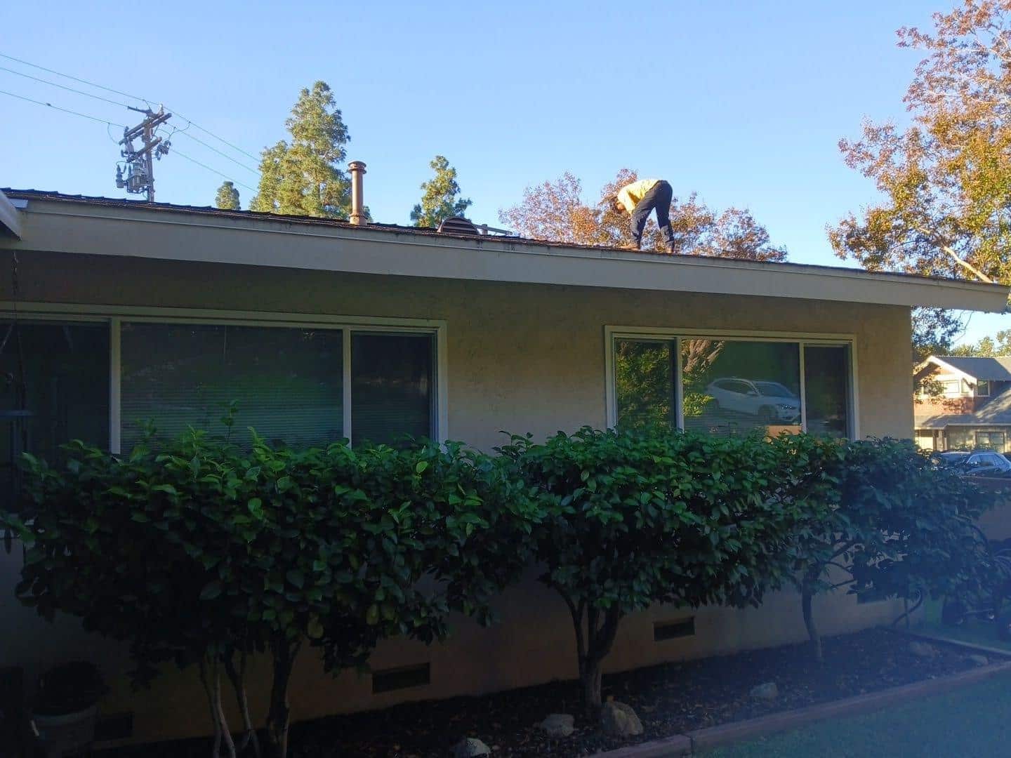 shingle-reroof-monrovia-3398 Roofer bending over flat roof of single-story stucco house with large windows and shrubs in front.