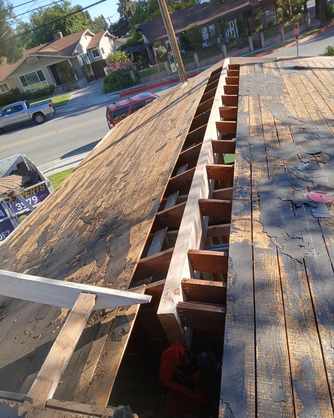 shingle-reroof-monrovia-3399 Rooftop view of stripped ridge showing deteriorated wood sheathing, exposed rafters, and old underlayment on residential home.