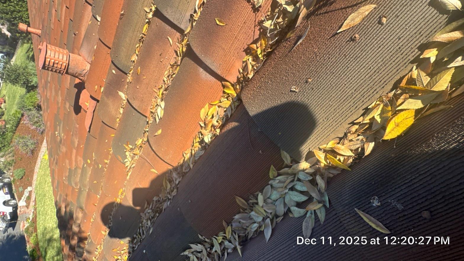 tile-roof-repair-vent-flashing-san-gabriel-3417 Clogged roof gutter filled with yellow and brown autumn leaves on residential home, December.