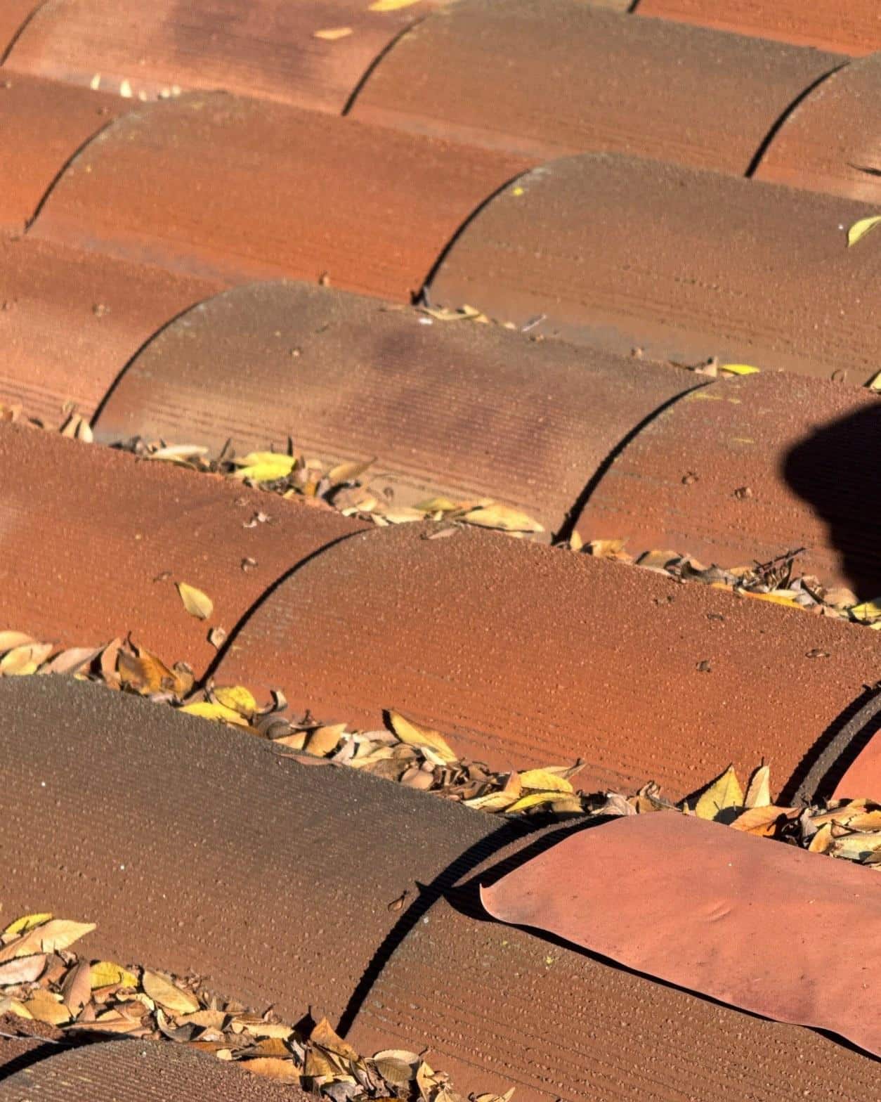 tile-roof-repair-vent-flashing-san-gabriel-3420 Close-up of red clay barrel roof tiles with dry yellow and brown leaves collected in gaps between rows.