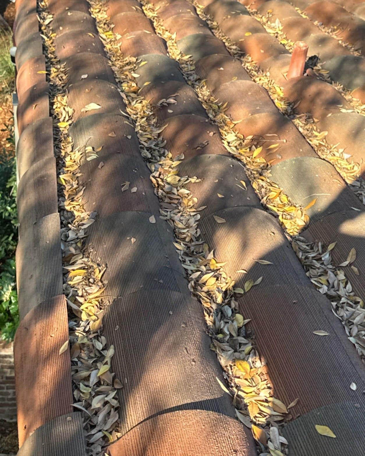 tile-roof-repair-vent-flashing-san-gabriel-3421 Close-up of clay barrel roof tiles covered with dry fallen leaves collected in the channels between rows.