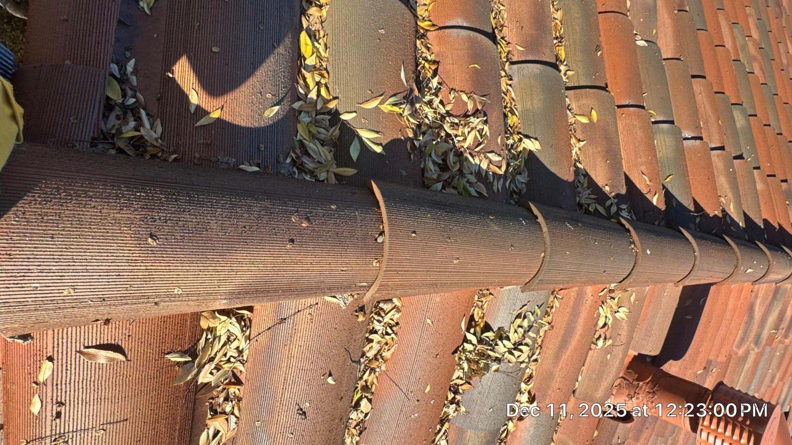 tile-roof-repair-vent-flashing-san-gabriel-3422 Aerial view of clay tile roof covered with dry fallen leaves accumulated in tile channels and valleys.
